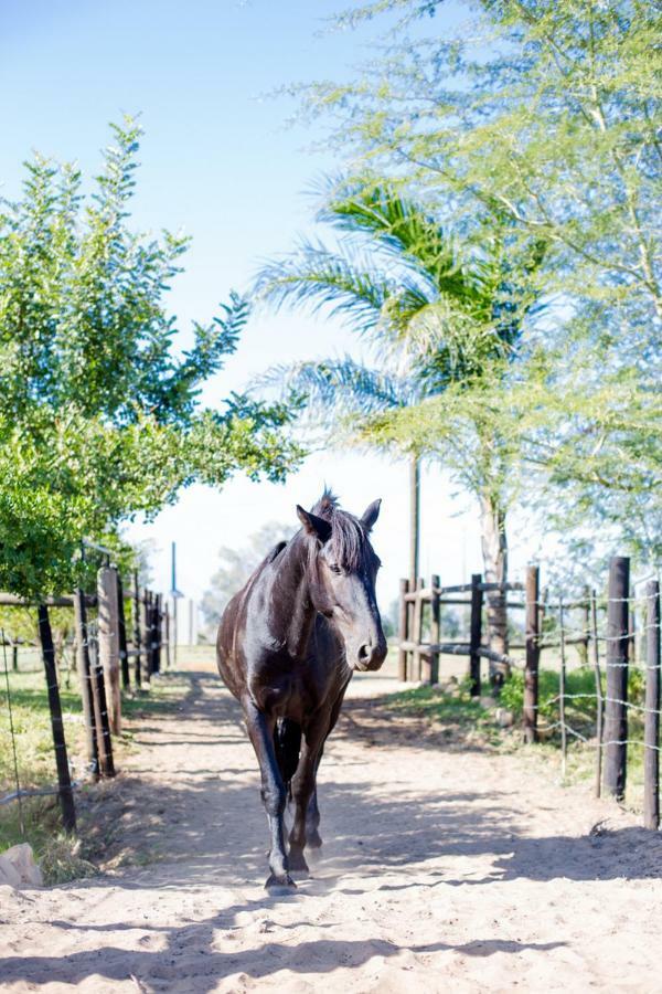Citrus Creek Chalets Citrusdal Buitenkant foto